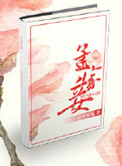 孟家妾大结局原著